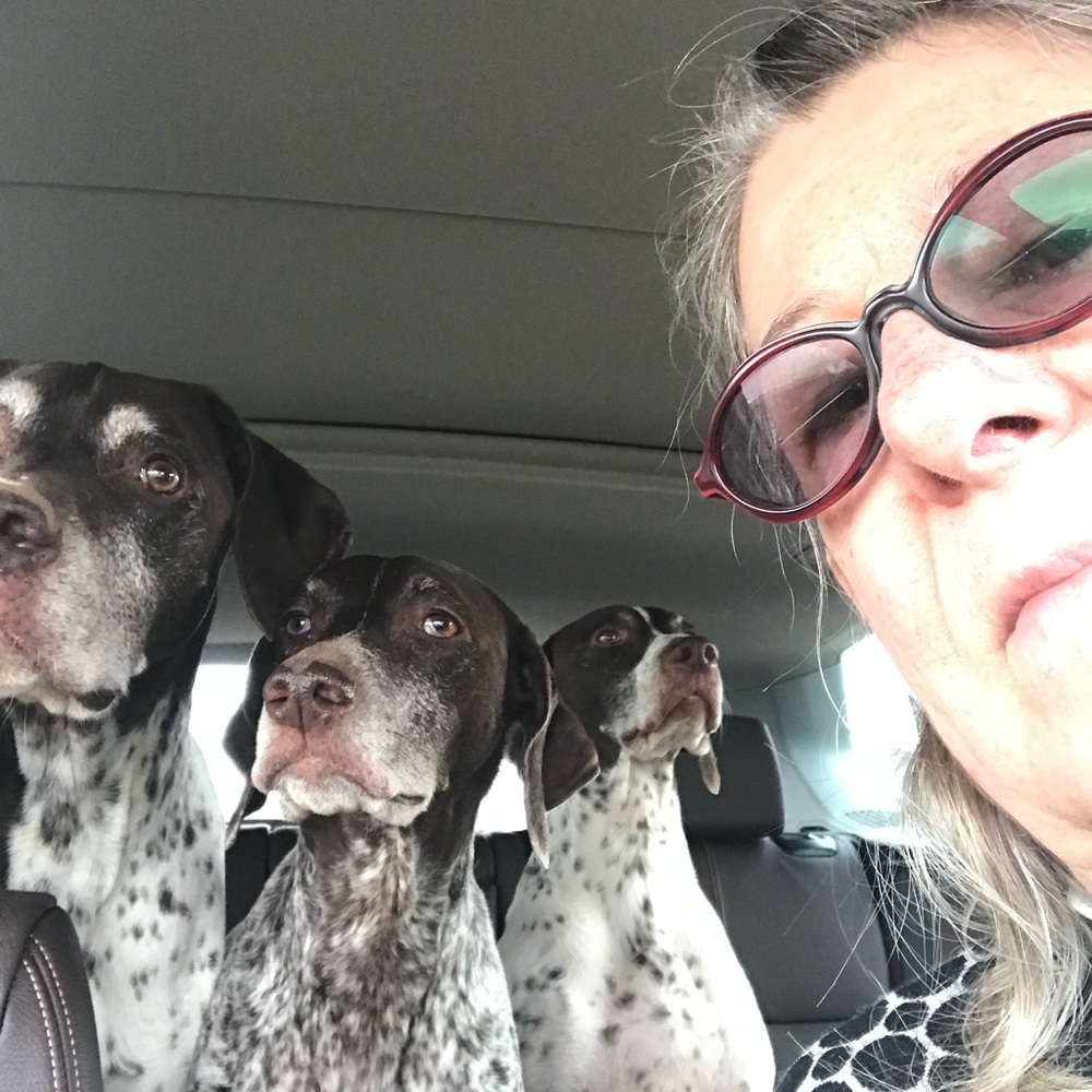 Meet your Posher, Carolyn